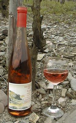 2020 Rosé Qualitätswein halbtrocken (2004)
